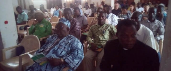 District assemblies tasked to collaborate with traditional authorities for good governance
