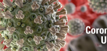 CORONAVIRUS UPDATE: Suspension of Events